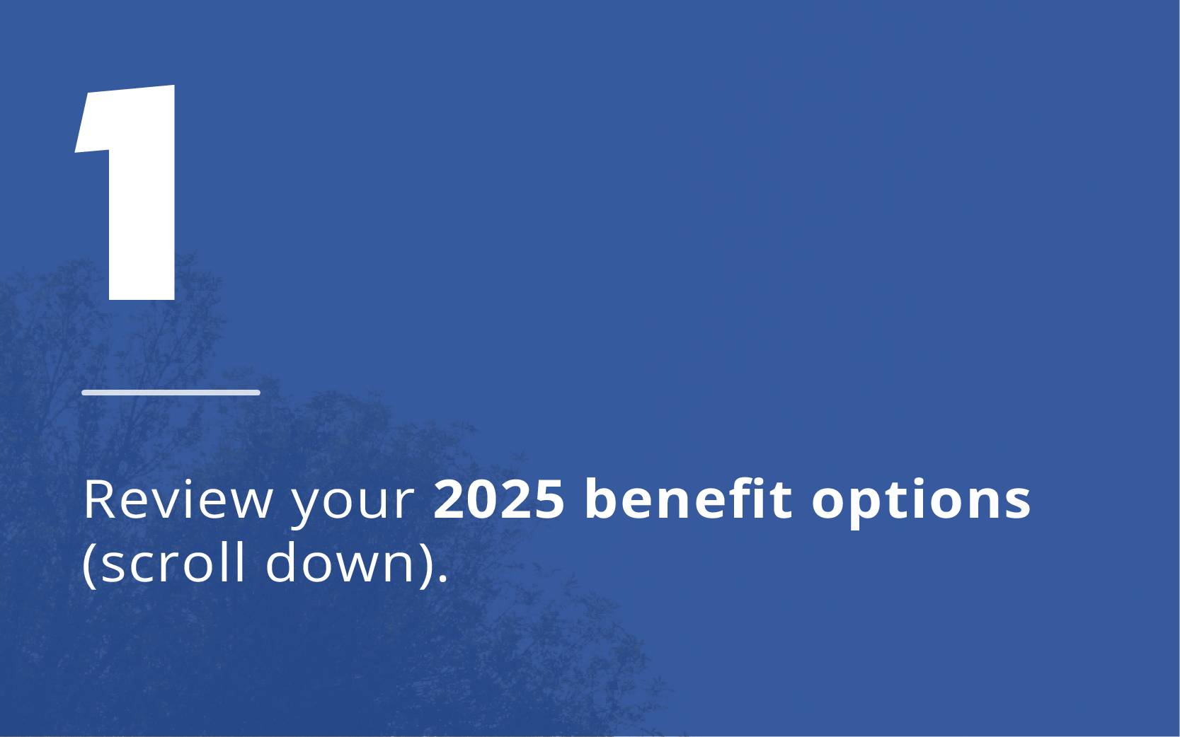 Step 1: Review your 2025 benefit options (scroll down).